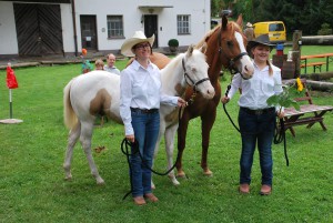 fohlenschau 20140082